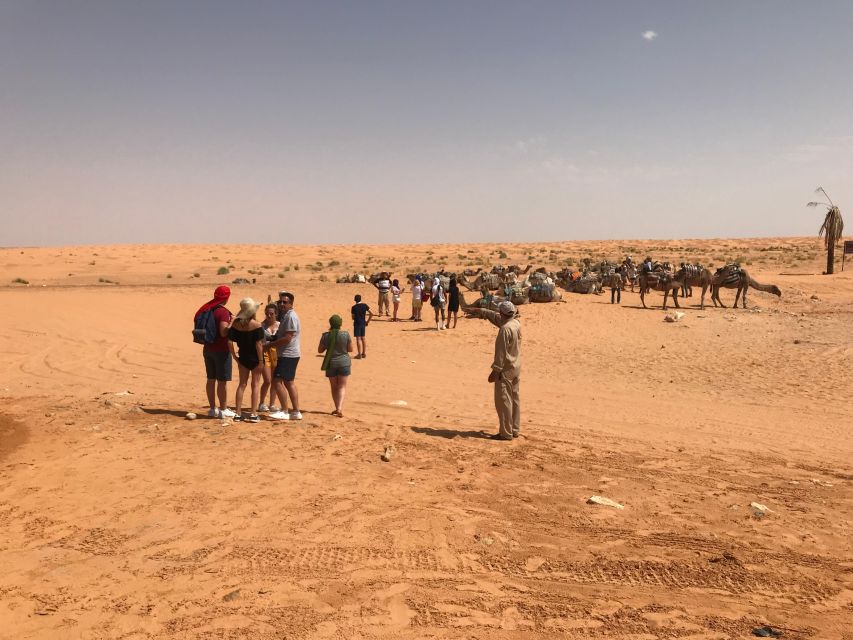 Day Trip to Desert to Ksar Ghilane From Djerba or Zarzis - Final Words