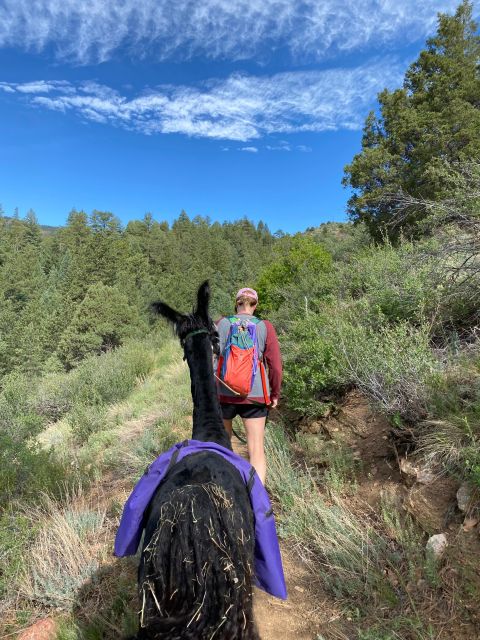 Denver: Llama Hike in the Rocky Mountains - Directions