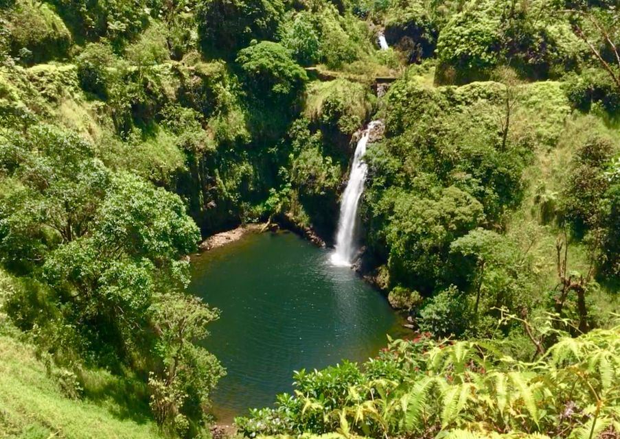 East Maui: Private Rainforest or Road to Hana Loop Tour - Common questions