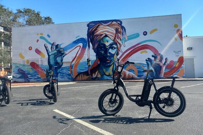 Electric Bike Guided City & Mural Tour - Host Interactions