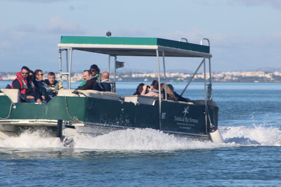 From Faro: Private Tour in Ria Formosa - Pricing, Booking, and Customer Reviews