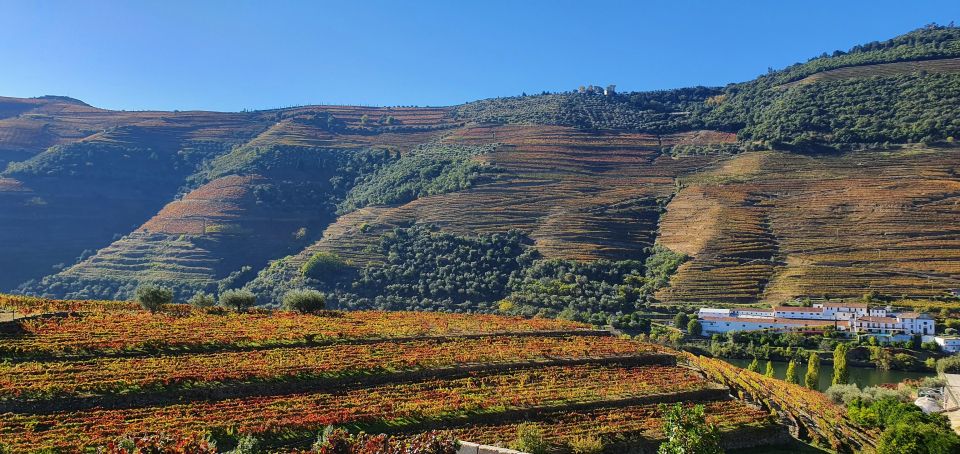 From Porto Douro Valley Tour With Train and Vinho Verde - Directions