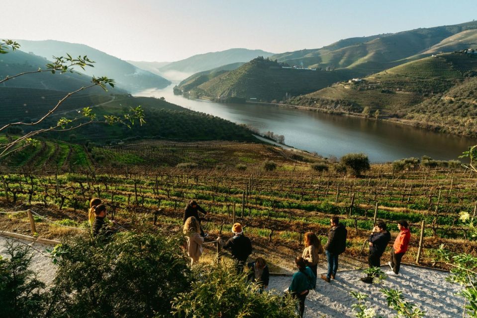 From Porto: Private Tour Douro Valley-Lunch/Tasting/Boat - Inclusions and Special Discounts