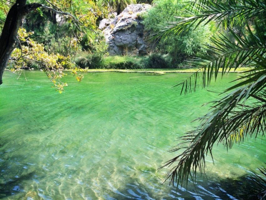 From Rethymno: Day Trip to Preveli Palm Beach-Kourtaliotiko - Availability and Booking