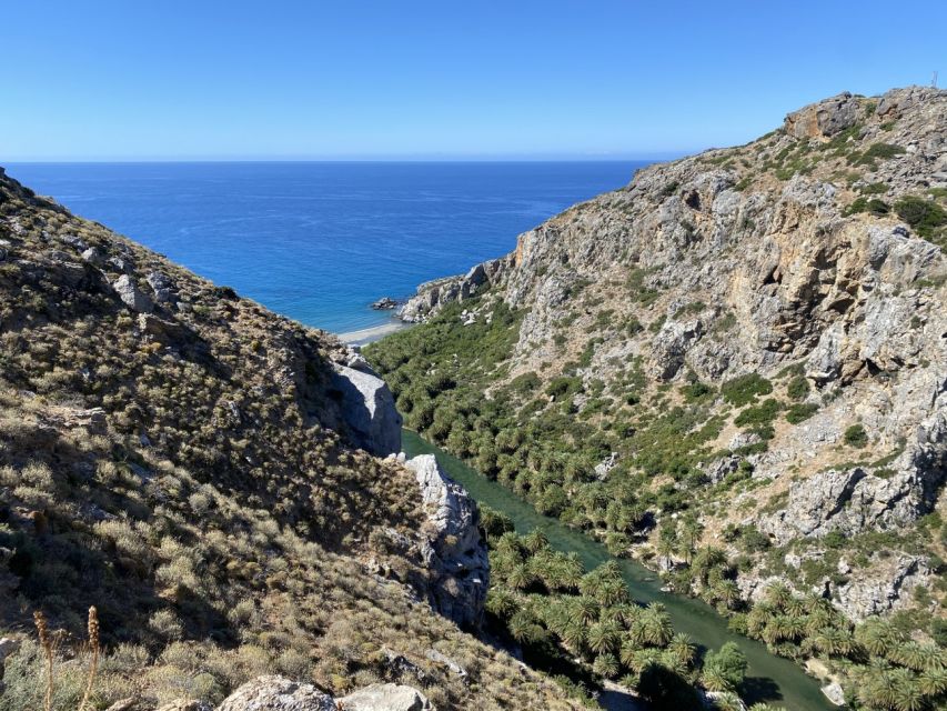 From Rethymno: Preveli Palm Forest Hike and Beach Day Trip - Final Words
