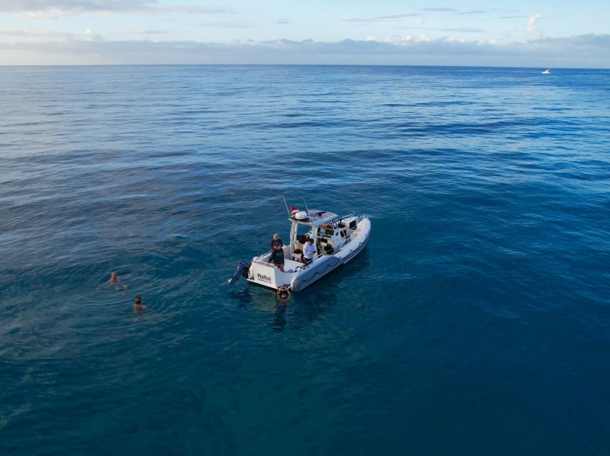 From Waikiki: Turtle Canyons Snorkeling Tour - Final Words