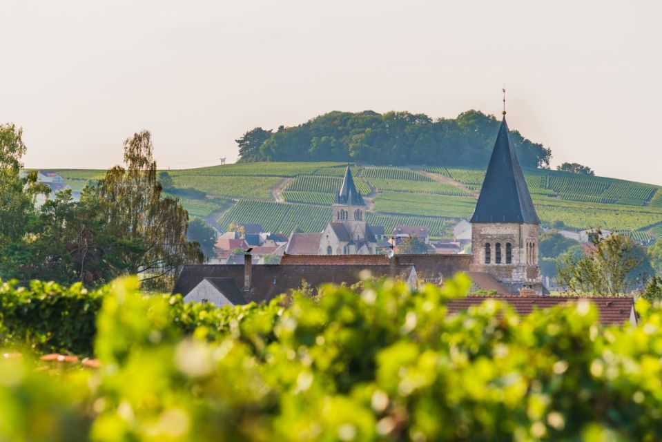 Full Day Pommery Small Group Tour - Location Information and Things to Do