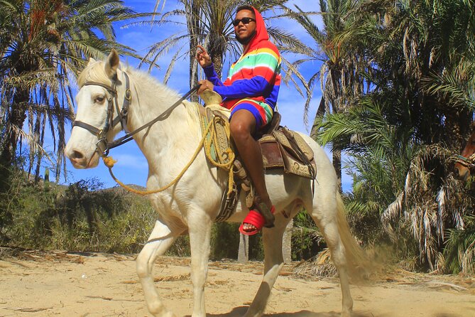 Guided Cabo Horseback Ride With Hotel Pickup  - Cabo San Lucas - Refund Conditions