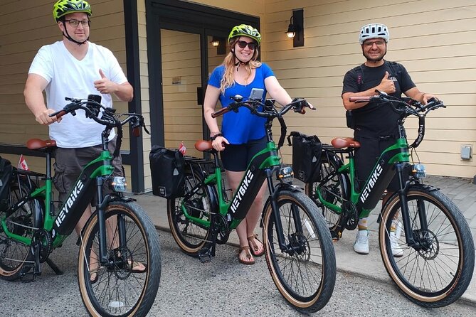 Guided E-Bike Wine Tour With Tastings and Lunch - Common questions