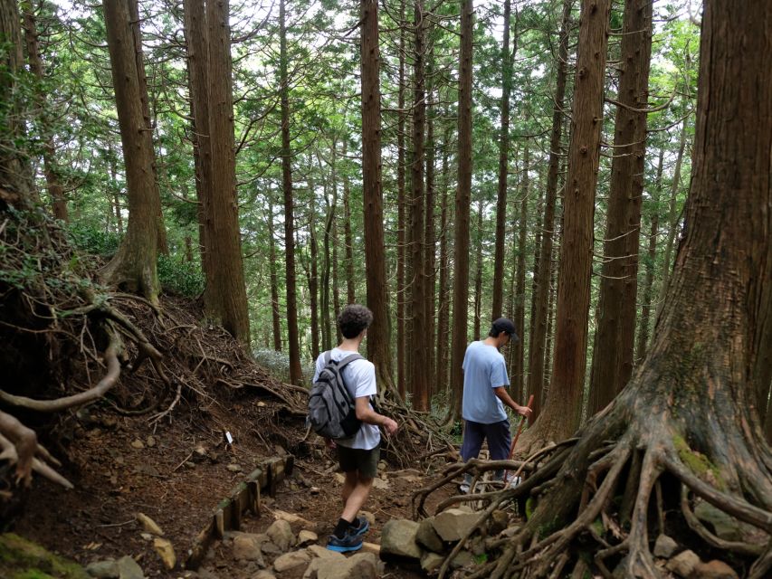 Hakone: Traverse the Hakone Caldera and Enjoy Onsen - Directions
