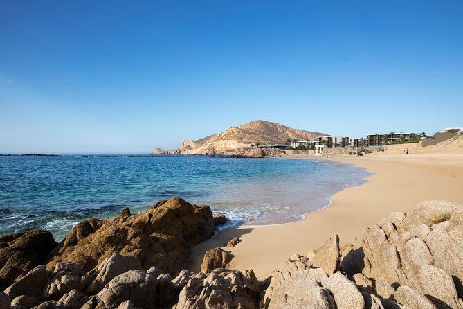 Half-Day Coast Tour With Snorkeling at Chileno Beach  - San Jose Del Cabo - Important Information and Policies