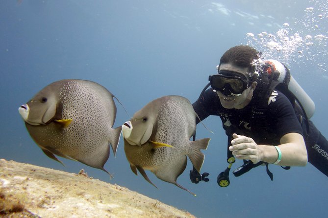 Isla Mujeres Small-Group MUSA Scuba Dive - Meeting Point and Specific Address