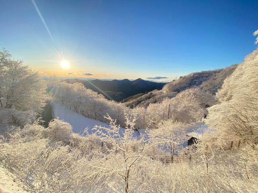 Kanto 10-Hour Chartered Day Tripnikko - Free Cancellation Policy