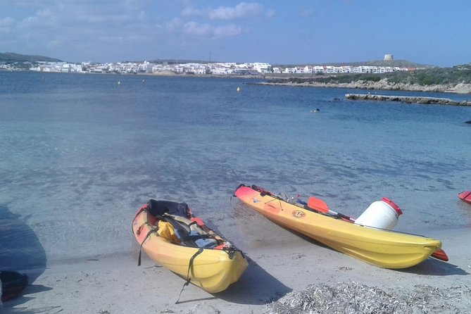 Kayak Tour in the Marine Reserve ! - Price and Reviews