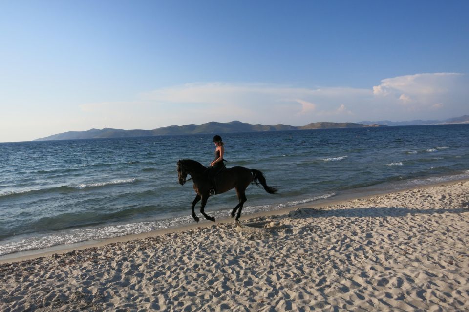 Kos: Horse Riding Experience on the Beach With Instructor - Common questions