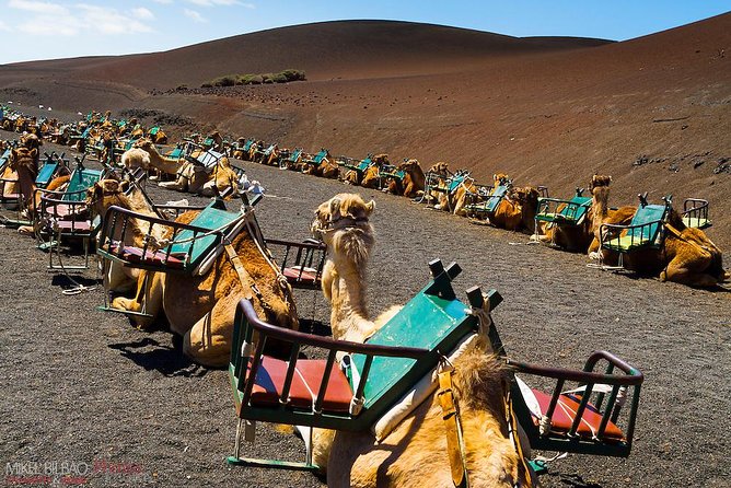 Lanzarote Grand Tour With Timanfaya and Jameos Del Agua - Common questions