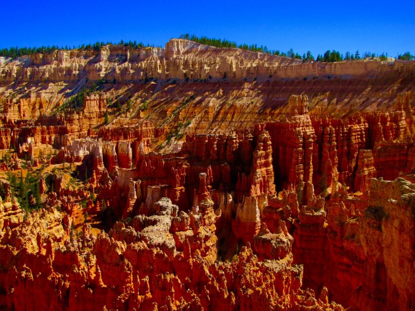 Las Vegas: Discover Bryce and Zion National Parks With Lunch - Directional Tips