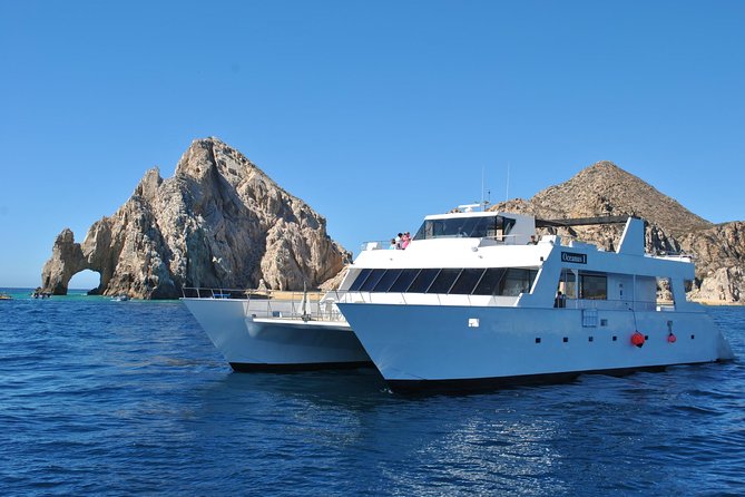 Los Cabos Reef Snorkeling Cruise With Lunch and Open Bar - Rights and Terms