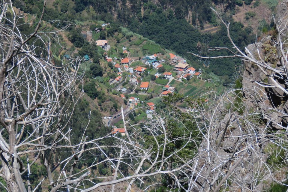 Madeira : Cabo Girao and Camara De Lobo 4WD Half-Day Tour - Book Now