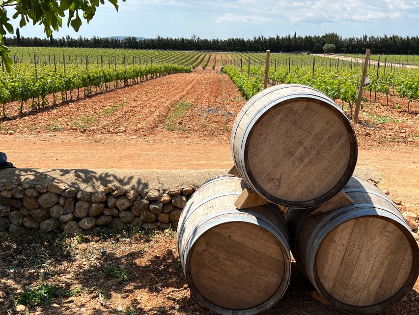 Mallorca: Discover the Secret Treasures of the Local Wine - Itinerary Overview