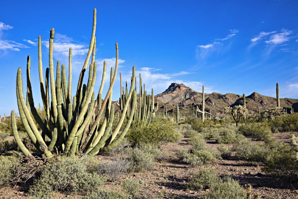 Metro Phoenix: Apache Trail Tour With Canyon Lake Cruise - Directions