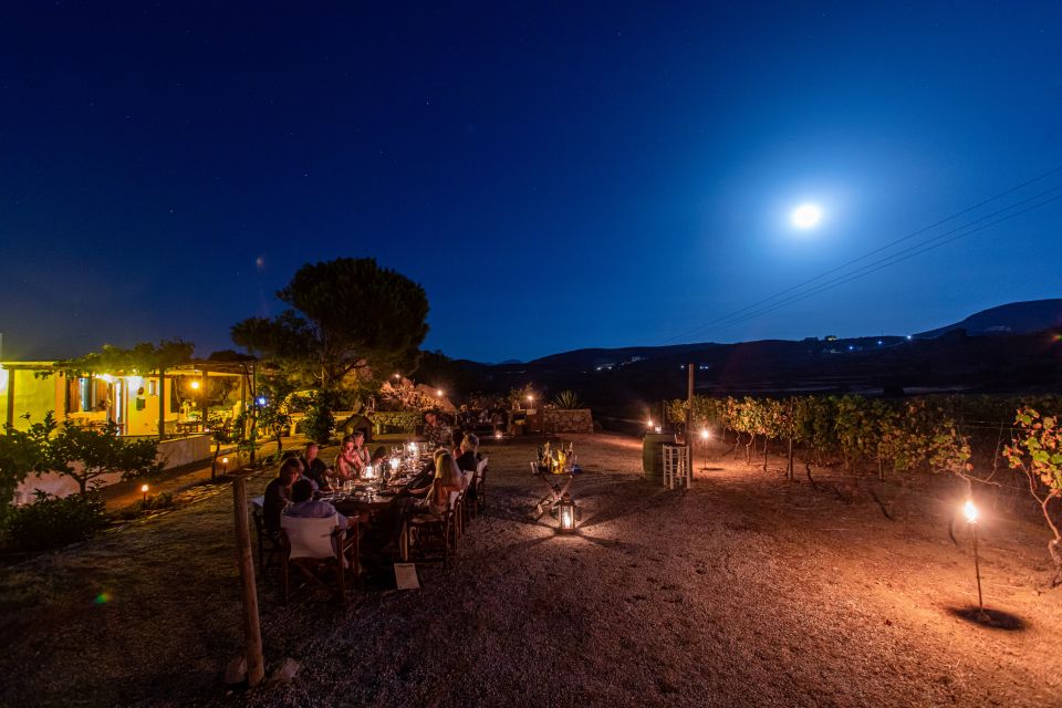 Naxos: Full Moon Dinner and Wine Tasting in a Vineyard - Accessibility