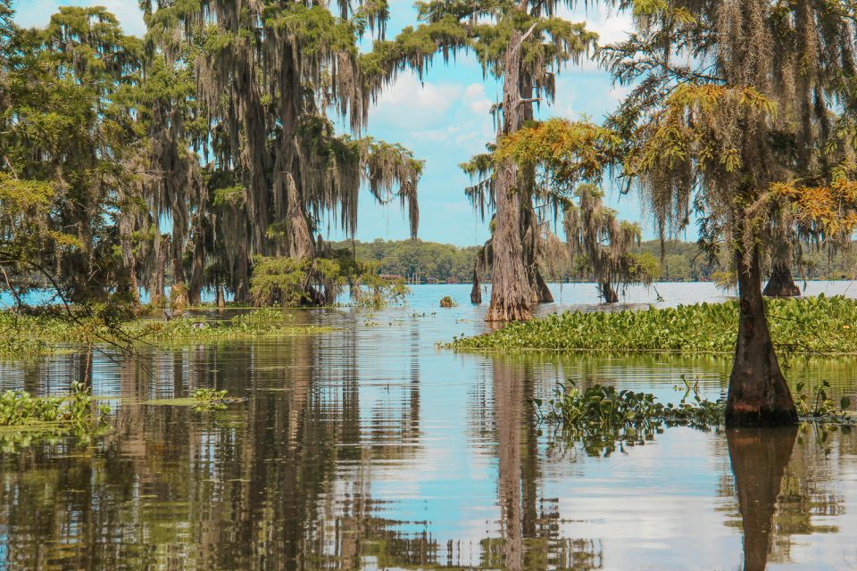 New Orleans: Discover the Surrounding Swamps by Airboat - Additional Information