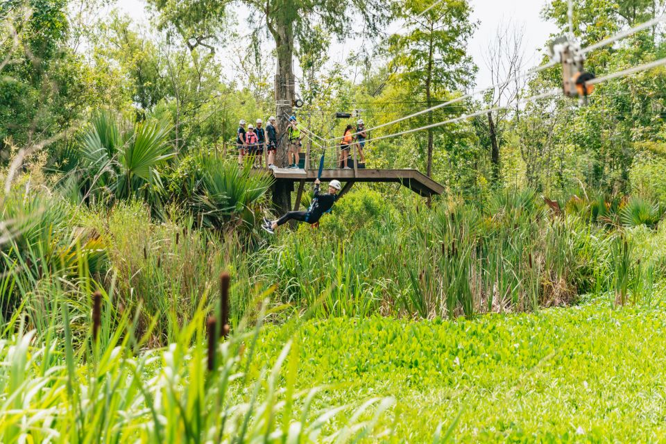 New Orleans: Swamp Zipline Tour - Wildlife Encounters