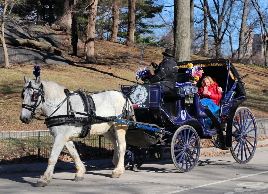 NYC: Central Park Horse-Drawn Carriage Ride With Photos - Final Words