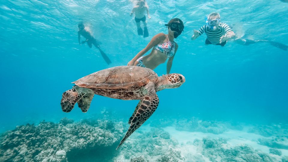 Oahu: Swim With Dolphins, Turtle Snorkel Tour and Waterslide - Cancellation Policy