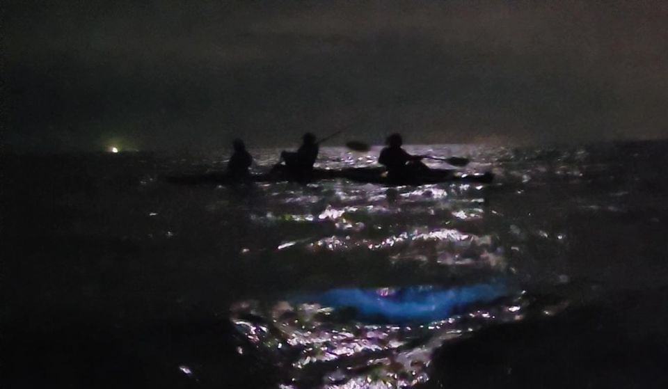 Orlando: Bioluminescence Kayak and Swim Adventure - Important Info