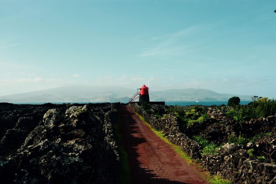 Pico, Azores: Highlights Tour With Wine Tasting and Picnic - Common questions