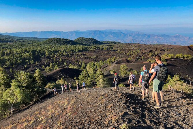 Private and Guided Tour on Etna With Wine Tasting Included - Host Responses