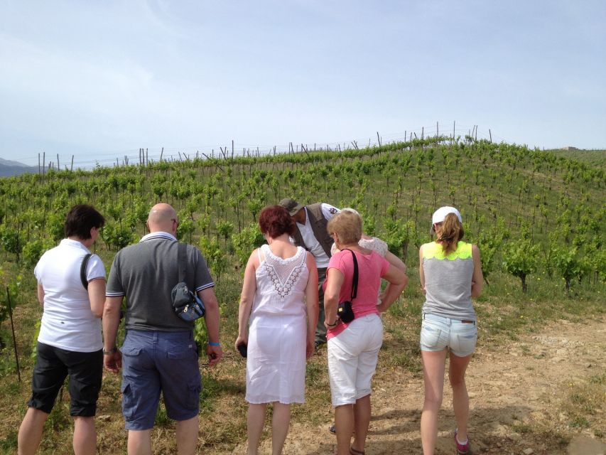 Private Exclusive Manousakis Winery and Vineyard Tour - Directions
