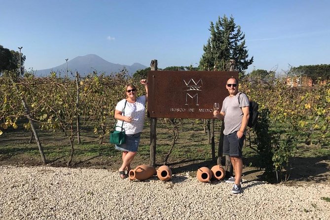 Private Tour of Pompeii Ruins Organic Wine and Lunch Tasting - Common questions