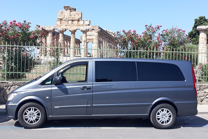 Private Transfer Naples Sorrento or Sorrento Naples - Enhancing Travel Experiences With Local Suggestions