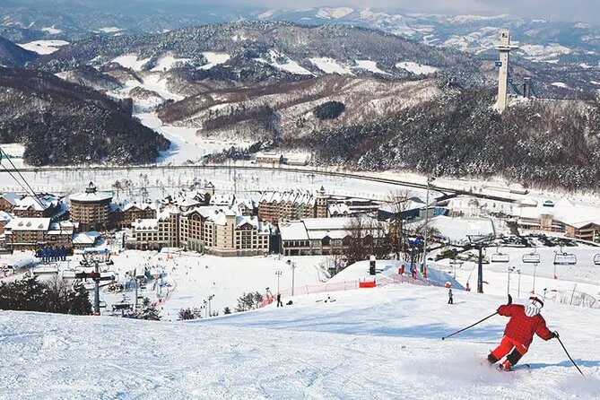 Private Transfer - Seoul ⇔ Alpensia / Yongpyong Ski Resort - Whats Included in the Service