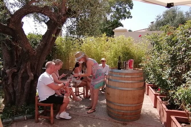 Provence Organic Wine Small Group Half Day Tour With Tastings From Nice - Common questions