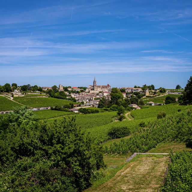 Saint Emilion Half Day Ebike and Wine Tour With Picnic - Pricing Information