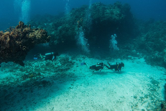 Scuba Diving in Cozumel Island - Common questions