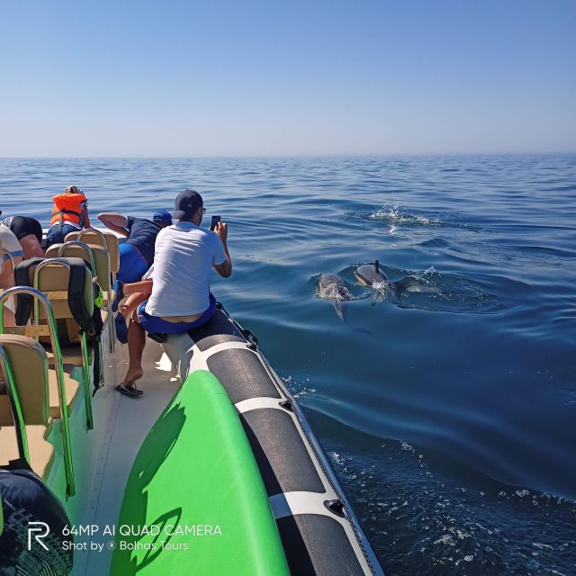 Sesimbra: Dolphin Watching Boat Tour With Biologist Guide - Common questions