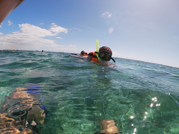 Snorkeling Adventure in Puerto Morelos Includes Snack, Water and Round Trip. - Safety Precautions and Guidelines