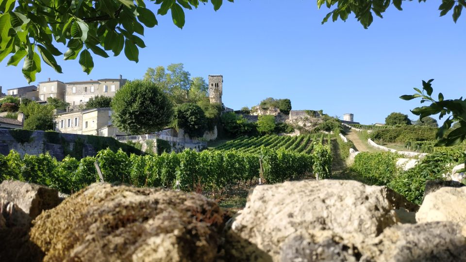 The Best Of Saint Emilion (Private Highlights Tour) - Final Words