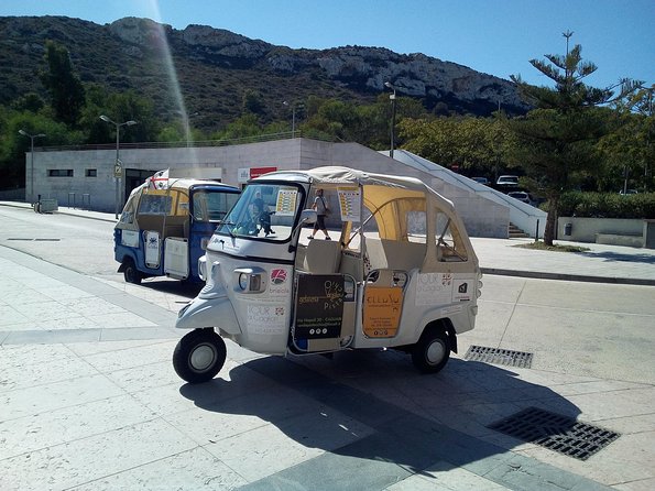 Tour in Ape Calessino (Tuk Tuk) 4 Districts Poetto Beach Pink Flamingos - Pricing Details