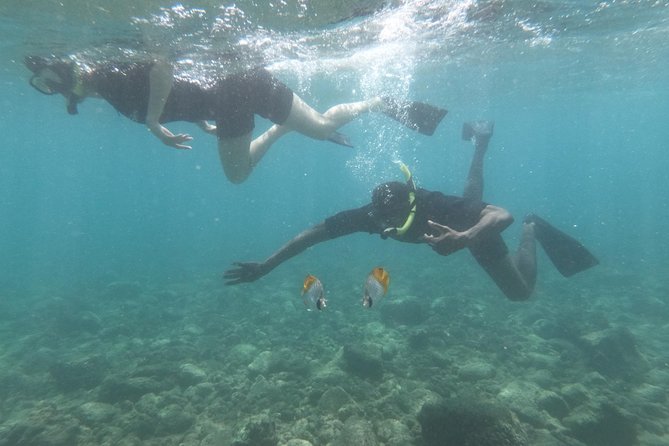 Ultimate Shore Snorkeling Adventure on Kauai - Common questions
