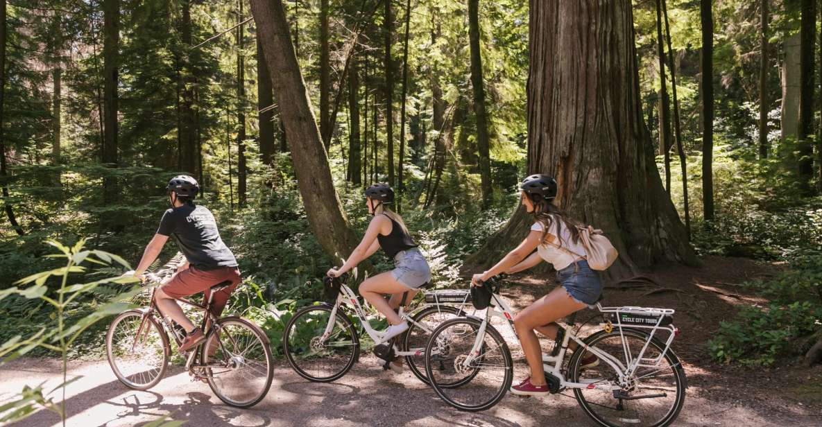 Vancouver: Half-Day City Highlights E-Bike Tour Age 16+ - Common questions