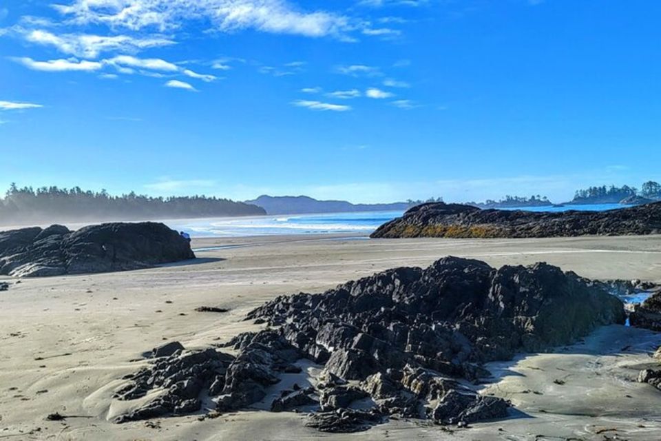 Vancouver to Tofino 2 Day Tour Private - Guide Information