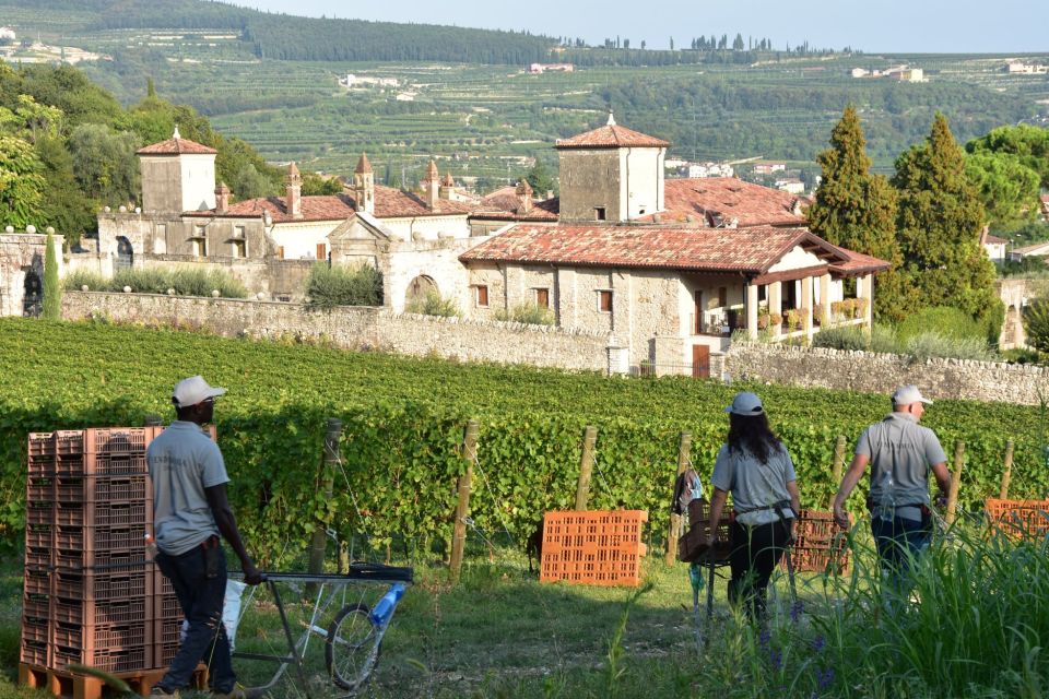 Veneto: Amarone Cooking and Tasting Experience in a Villa - Directions