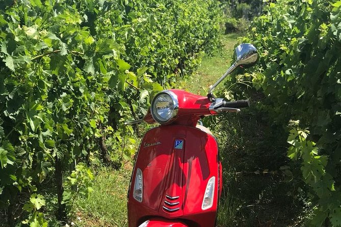 Vespa Tour With Lunch&Chianti Winery From Siena - Communication and Tour Enhancement