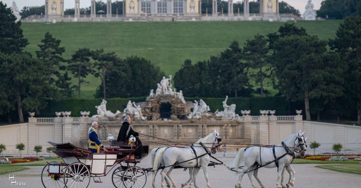 Vienna: Carriage Ride Through Schönbrunn Palace Gardens - Final Words